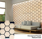 Hexagon Panel - Natural Aura (57 x 69.5 cm)