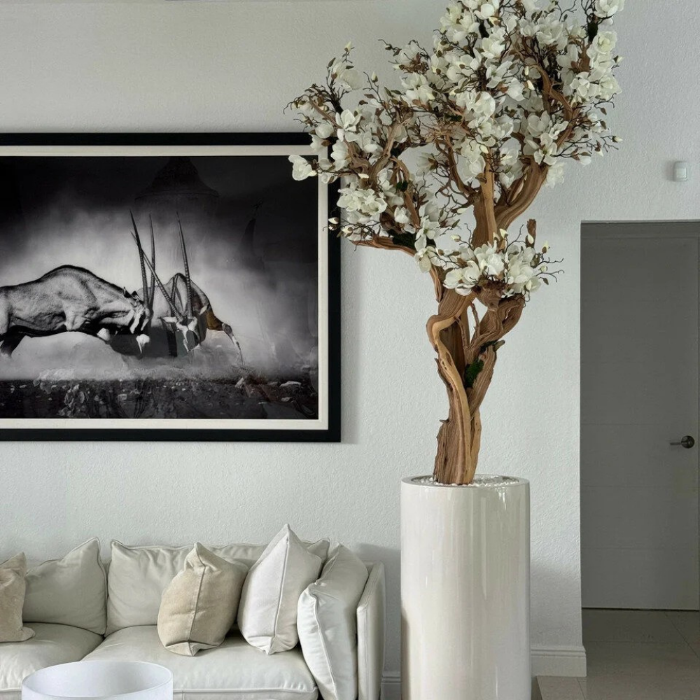 Weiße Magnolie im Glossy Beige Topf