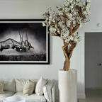 Weiße Magnolie im Glossy Beige Topf