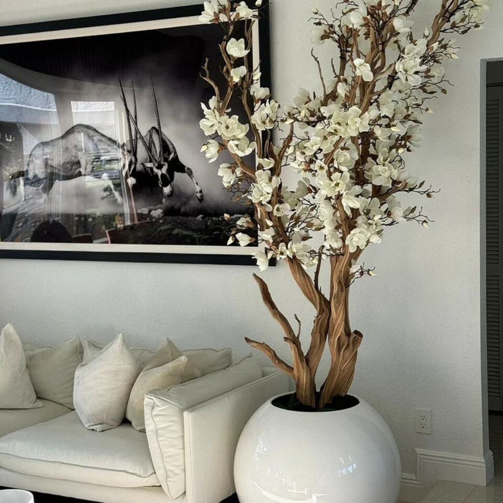 Weiße Magnolie im Glossy Globe Topf