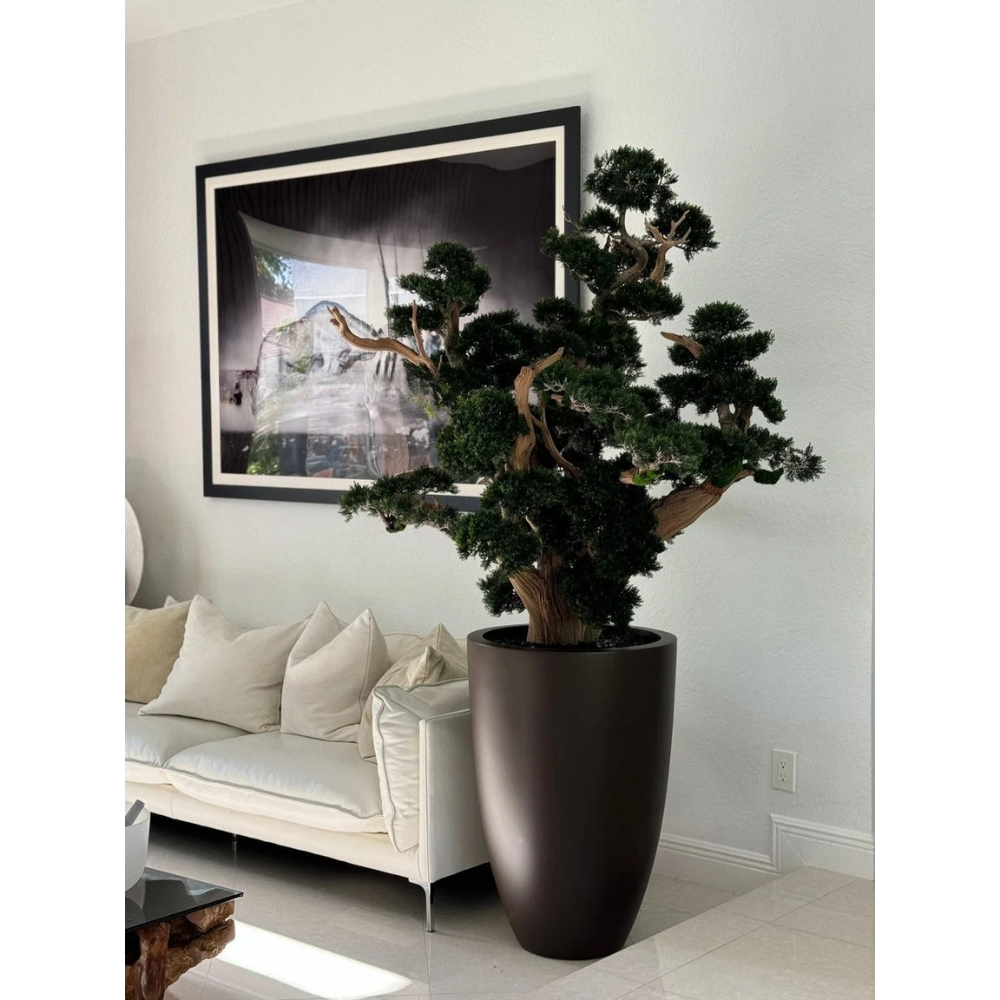 Oversized Bonsai im Matte Braun Brannan Topf