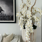 Kaskaden-Orchideen im Sand-Beige San José Topf