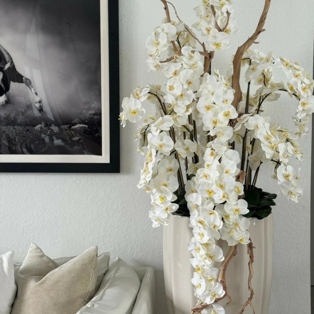 Kaskaden-Orchideen im Sand-Beige San José Topf