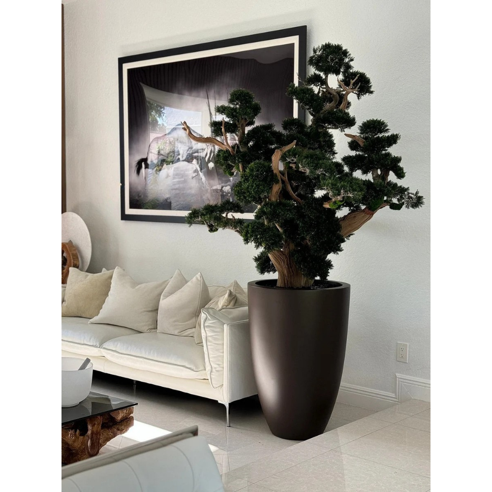 Oversized Bonsai im Matte Braun Brannan Topf
