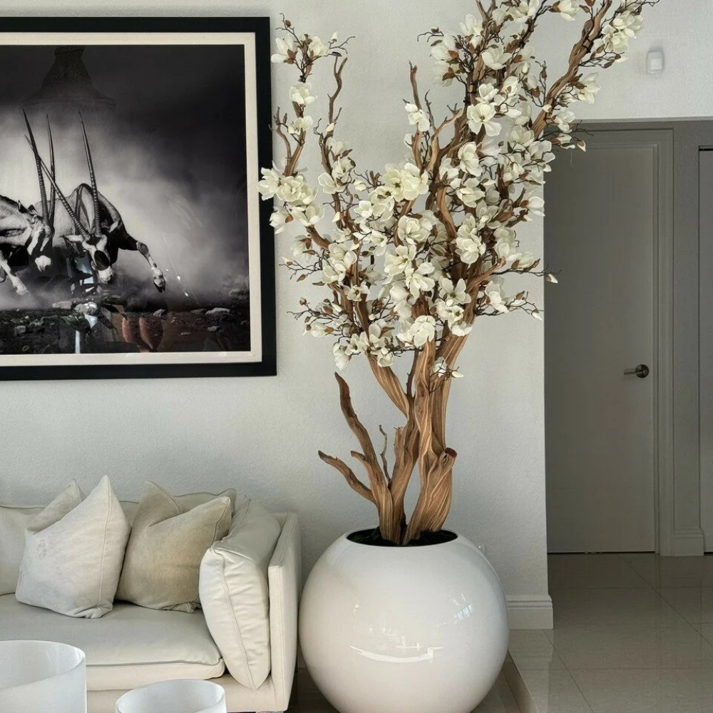 Weiße Magnolie im Glossy Globe Topf