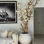 Weiße Magnolie im Glossy Globe Topf