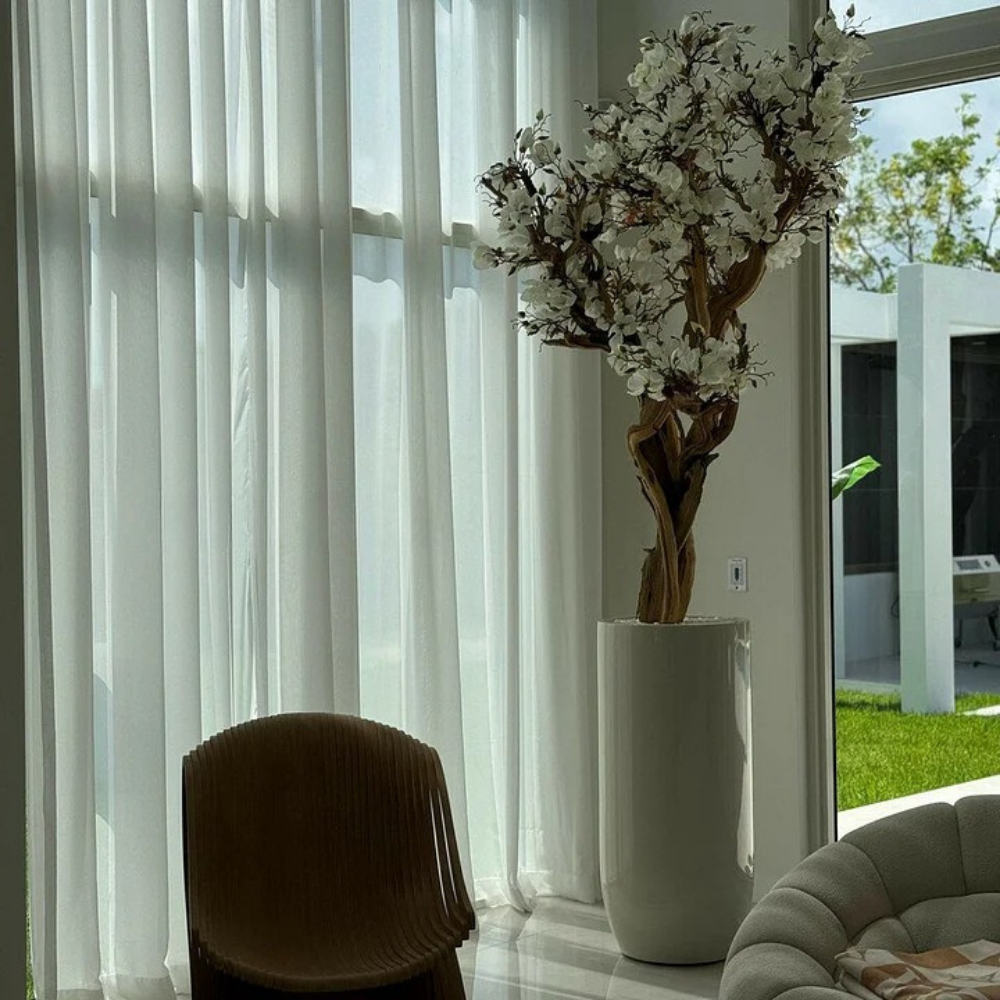 Weiße Magnolie im Glossy Beige Topf