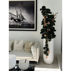 Bonsai im Matte Weißen St. Tropez Topf