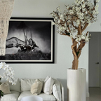 Weiße Magnolie im Glossy Beige Topf