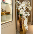Kaskaden-Orchideen im Goldenen Prism Topf