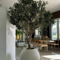 Olivenbaum im Matte-Beige Globe Topf