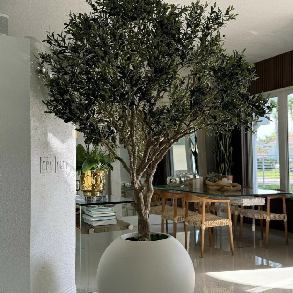 Olivenbaum im Matte-Beige Globe Topf