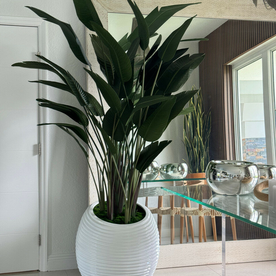 Paradiesvogelblume in weißer Spiralvase