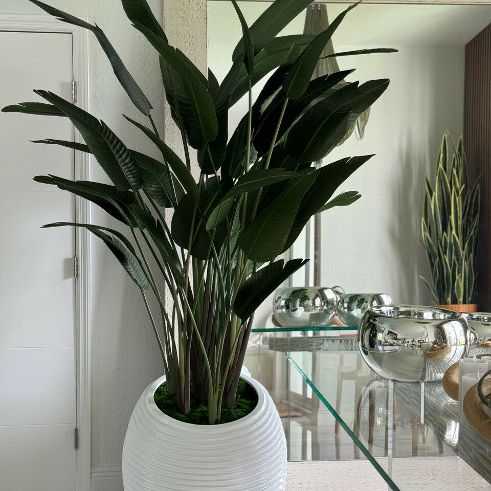 Paradiesvogelblume in weißer Spiralvase