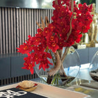 Rote Cymbidium-Orchideen im Mond-Pflanzgefäß